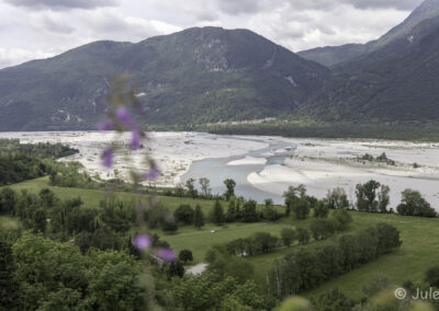 Tagliamento