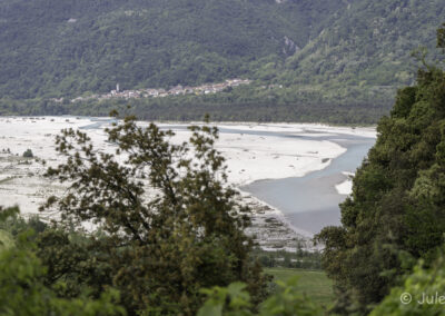 Tagliamento