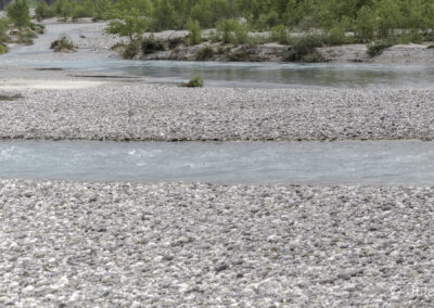 Tagliamento