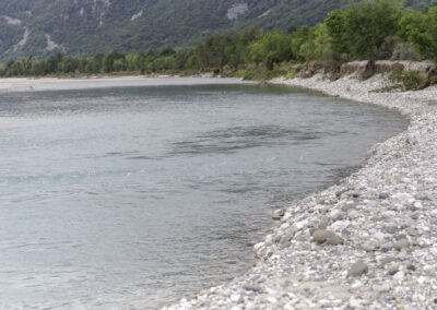 Tagliamento