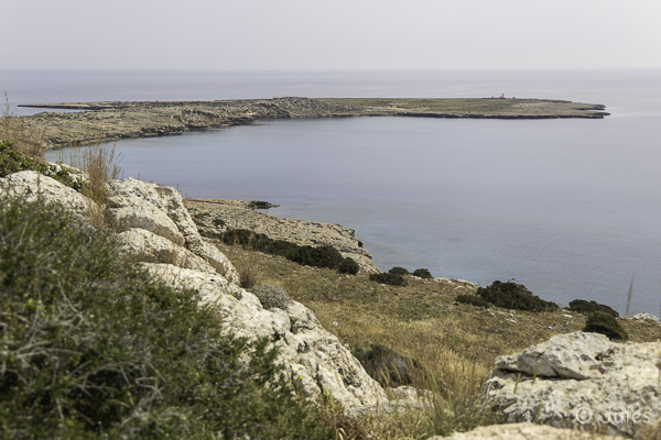 Cy_Ayia Napa-Cape Greco