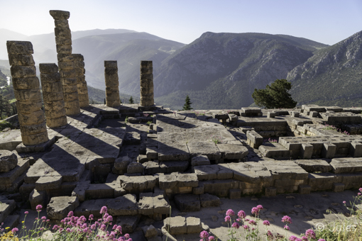GR_Delphi