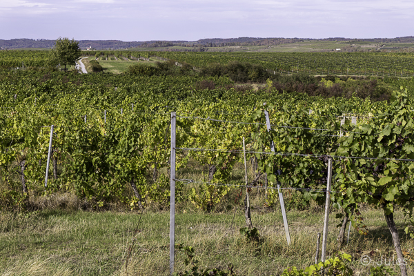 AT_Materl-Wanderweg
